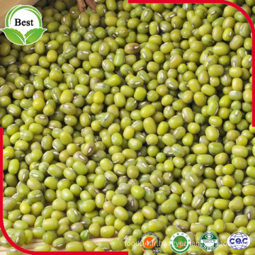 Haricots Mung Verts Bio non-OGM séchés à la Chine